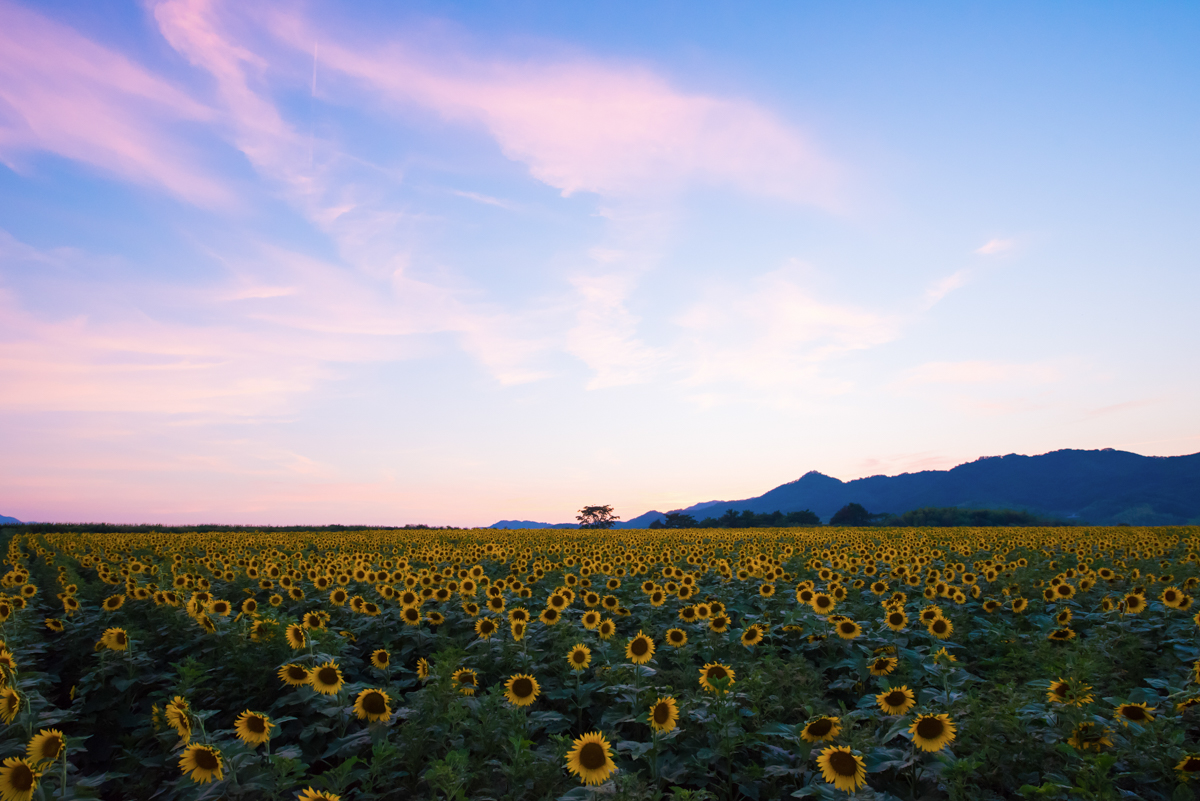 香川県カメラマン・日本の絶景・風景写真・四国