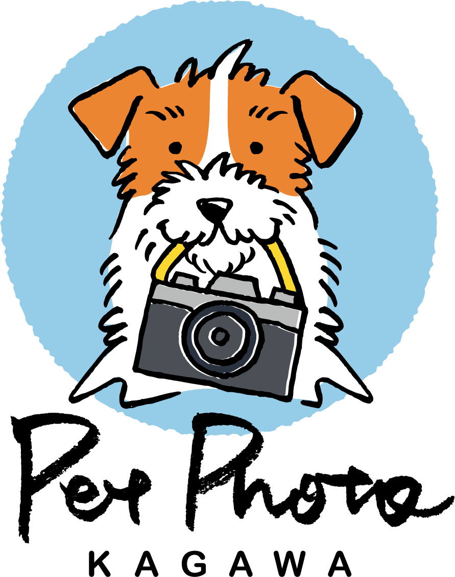 ペットフォト香川・ロゴ・犬の撮影専門